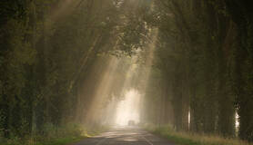 Herfstfoto in Lochem, Gelderland