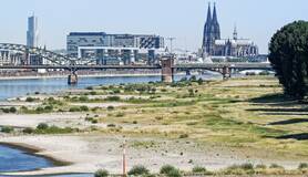 Lage waterstand Rijn bij Keulen