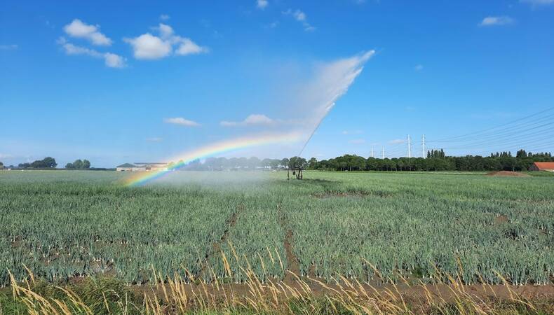 foto van sproeiers in de landbouw op een zonnige dag in zeeland in 2025