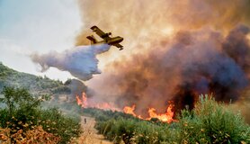 Blusvliegtuig boven bosbrand