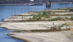 Lage waterstand met droge oevers van de Rijn in Duitsland