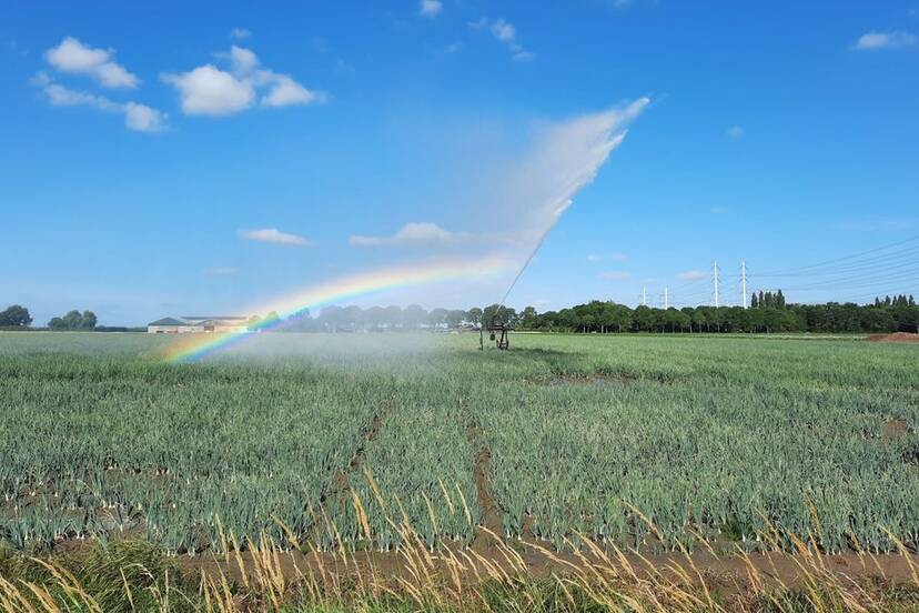 droogte in zeeland in 2026