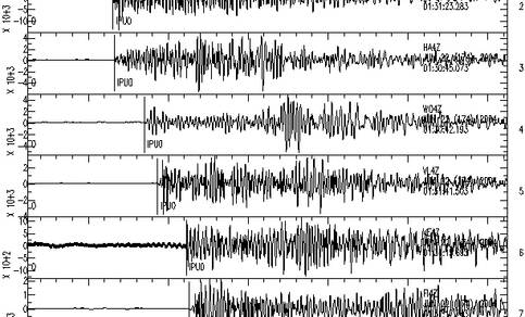 Seismogrammen van de aardbeving bij Geelbroek.
