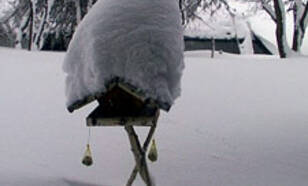 Sneeuw Beieren vogelhuisje