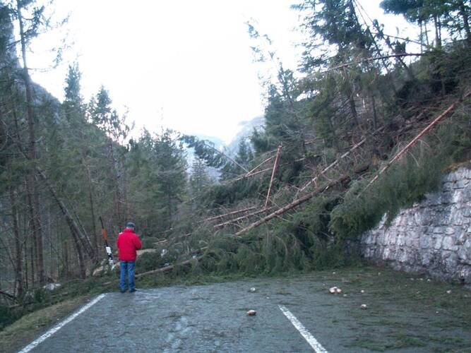 Severe Gale Kyrill blocked the roads in Europe on the 18th of January