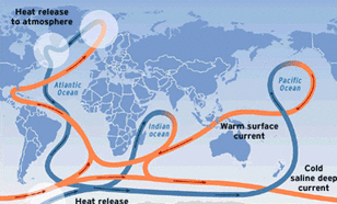 De wereldwijde transportband van oceaanwater waarvan de warme Golfstroom deel van uitmaakt. Rood is de stroming aan of nabij het zeeoppervlak, blauw is de stroming in de diepzee.