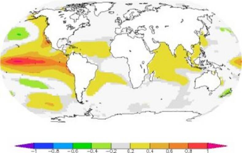 Gemiddelde temperatuurafwijking van de oceaan 3 maanden na een El Niño periode van 1 ºC. De oceaan koelt weer af door uitstraling en verliest zo warmte. Bron: KNMI