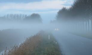Het rustige en vochtige herfstweer leidde tot vorming van mist die soms hardnekkig was (foto: Jannes Wiersema)