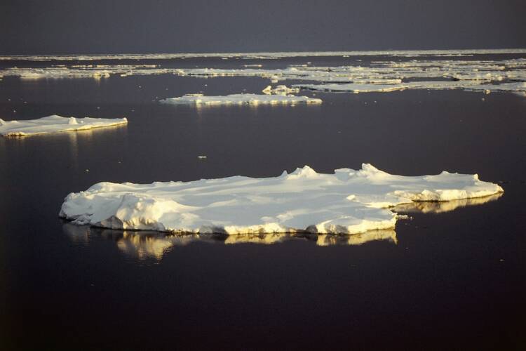 De opwarming van de aarde leidt tot een toename van zeeijs rond Antarctica (foto: Richard Bintanja)
