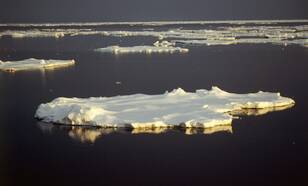De opwarming van de aarde leidt tot een toename van zeeijs rond Antarctica (foto: Richard Bintanja)