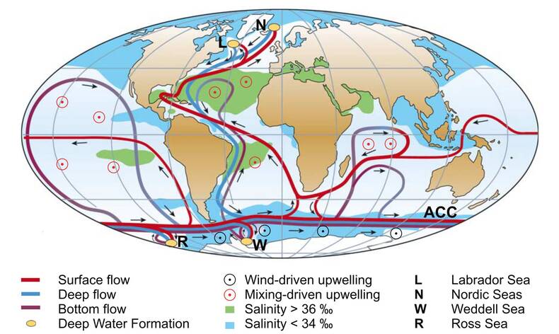 Vereenvoudigde weergave van de de Atlantische Meridionale “Overturning” Circulatie (AMOC) (Bron: Andrea Cimatoribus, Kuhlbrodt et al)