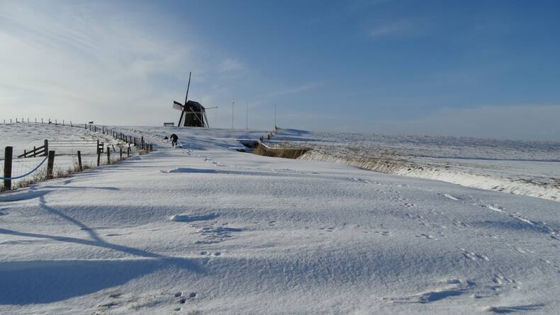 In het laatste weekeinde van januari werd het nog even volop winter in het noordoosten van ons land met sneeuw en ijzel (foto: Jannes Wiersema)