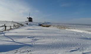 In het laatste weekeinde van januari werd het nog even volop winter in het noordoosten van ons land met sneeuw en ijzel (foto: Jannes Wiersema)