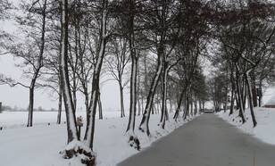 De winter was vrij zacht maar in tegenstelling tot vorig jaar ontbrak het niet aan vorst en sneeuw (foto: Jannes Wiersema)     