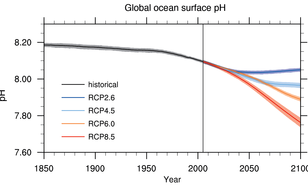 Alle klimaatscenario’s laten een wereldwijde oceaanverzuring zien voor het einde van de 21e eeuw. Figuur: IPCC [2013].