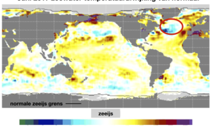 Figuur 1: Zeewatertemperatuur afwijking ten opzichte van normaal (⁰C) voor de maand Juni. De rode cirkel geeft de ligging van de “koude wervel” weer. Bron: cpc.noaa.gov