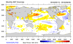 Figuur 1. Zeewatertemperatuur anomalieën van de afgelopen maand.