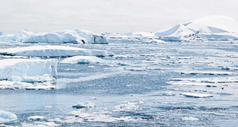 Zee-ijs in het Arctisch gebied