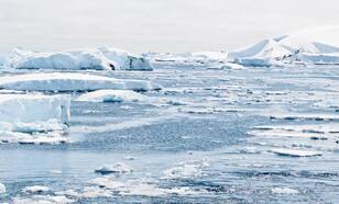 Zee-ijs in het Arctisch gebied