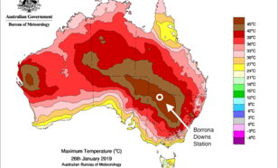 Kaart voor Australië van maximumtemperatuur op zaterdag 26 januari. 