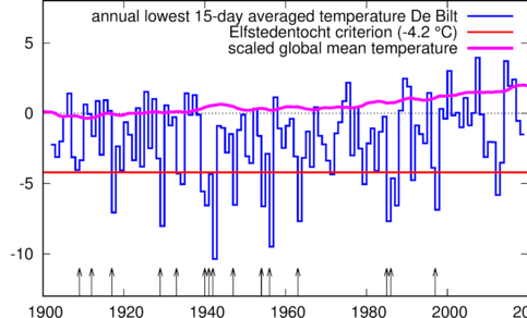 figure with lowest 15-day averaged daily mean temperature in De Bilt (blue), temperature criterion (red) and the scaled global mean temperature with a 4-year running mean (purple). The arrows indicate the years in which an Elfstedentocht was organised.