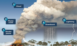 Schematisch overzicht van de dynamiek van pyrocumulonimbus-wolken.