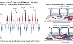 Met gekleurde staafjes is per maand in een grafiek aangegeven of El Niño of La Niña aanwezig was vanaf 1950 tot nu. Twee illustraties laten de afwijkingen in de zeewatertemperatuur en wind zien tijdens El Niño en La Niña.