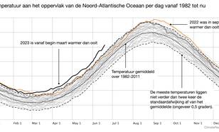 Tijdseries van de dagelijkse temperatuur van de Noord-Atlantische Oceaan als functie van de dag in het jaar vanaf 1982 tot nu. 