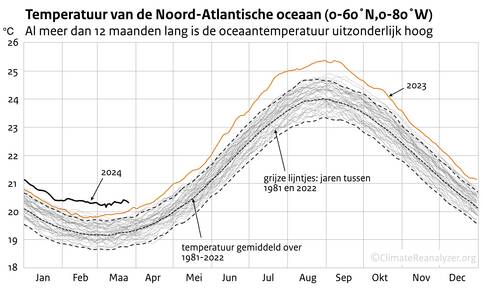 Lijngrafiek met de dagelijkse temperatuur van de Noord-Atlantische oceaan vanaf 1 januari 1981 tot 25 maart 2024. 