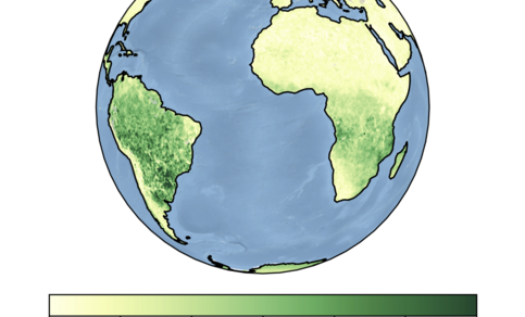 Plaatje van de hoeveelheid fluorescentie over een deel van de aarde 
