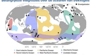 Wereldkaart met de zes belangrijkste oceaanvliegroutes die zeevogels gebruiken om hun broedgebieden te bereiken (zwarte vierkanten). Bewerkt van Morten ea (2025).