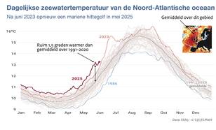Lijngrafiek met voor ieder jaar van 1979 tot nu een lijntje met de dagelijkse temperatuur in het noordoostelijke deel van de Noord-Atlantische Oceaan van 1979 tot en met 31 mei 2025.