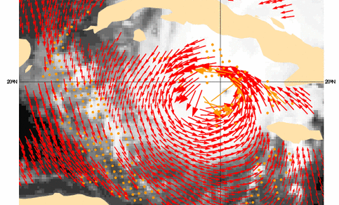 Windveld rond hurricane Paloma gemeten met scatterometer