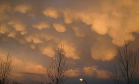 Buidelvormige wolken (mammatus) aan de onderkant van een buienwolk (foto: Henk vd Weijden, Gouda)