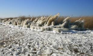 Maart was in 2013 de koudste maand in een kwart eeuw: door de harde tot stormachtige oostenwind en de vorst vormden zich langs onze kust bijzondere ijsvormen (foto: Jannes Wiersema)