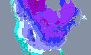 De kaart met minimumtemperaturen in het noorden van de VS van 8 januari 2014 toont de uitstroom van zeer koude lucht (Bron: Deutscher Wetterdienst)