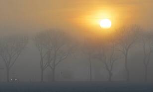Februari de zonnigste van de drie wintermaanden maar het rustige weer leidde tot mist die soms hardnekking was (foto: Jannes Wiersema)
