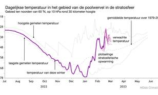 Lijngrafiek van de dagelijkse temperatuur in de poolwervel in de stratosfeer voor deze winter en gemiddeld over 1979-2022.