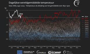 Lijngrafiek van de dagelijkse wereldgemiddelde temperatuur tussen 1940-2024 als afwijking van het gemiddelde over 1850-1900.