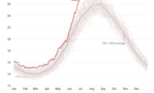 Grafiek van dagelijkse temperatuur in het westen van de Middellandse Zee. 