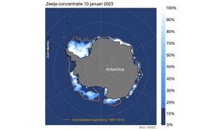 Uitbreiding van Antarctisch zee-ijs op 10 januari 2023, vergeleken met het gemiddelde voor die datum over de 30-jaar periode 1981 – 2010 (oranje lijn). Blauw-witte kleuren geven het percentage van het zeeoppervlak aan dat bedekt is met zee-ijs. 