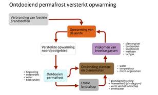 Schema van de relatie tussen de opwarming van de aarde, het ontdooien van de permafrost en het vrijkomen van broeikasgassen die de opwarming versterken en de processen die daarbij een rol spelen