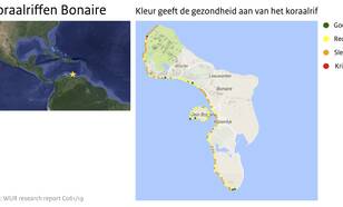 Kaart van Bonaire met in gekleurde bolletjes de gezondheid van het koraalrif op 151 locaties weergegeven. 