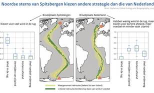 Kaarten van berekende vliegroutes van de Noordse stern die het beste overeenkomen met de waarnemingen en staafdiagrammen van de factoren die belangrijk zijn voor die vliegroutes zoals rugwind, zijwind, afstand en voedsel.