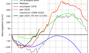 Lijngrafiek van het neerslagtekort vanaf 1 januari t/m 12 mei 2025 in vergelijking met andere jaren. In deze berekening mag het neerslagtekort ook negatief worden. 