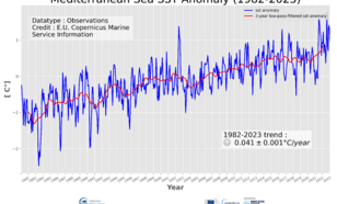 Grafiek van gemiddelde temperatuur van de Middellandse Zee van 1982 tot en met 2023.