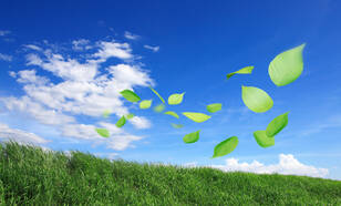 Blauwe lucht met witte wolken boven groen gras met groene blaadjes in de lucht