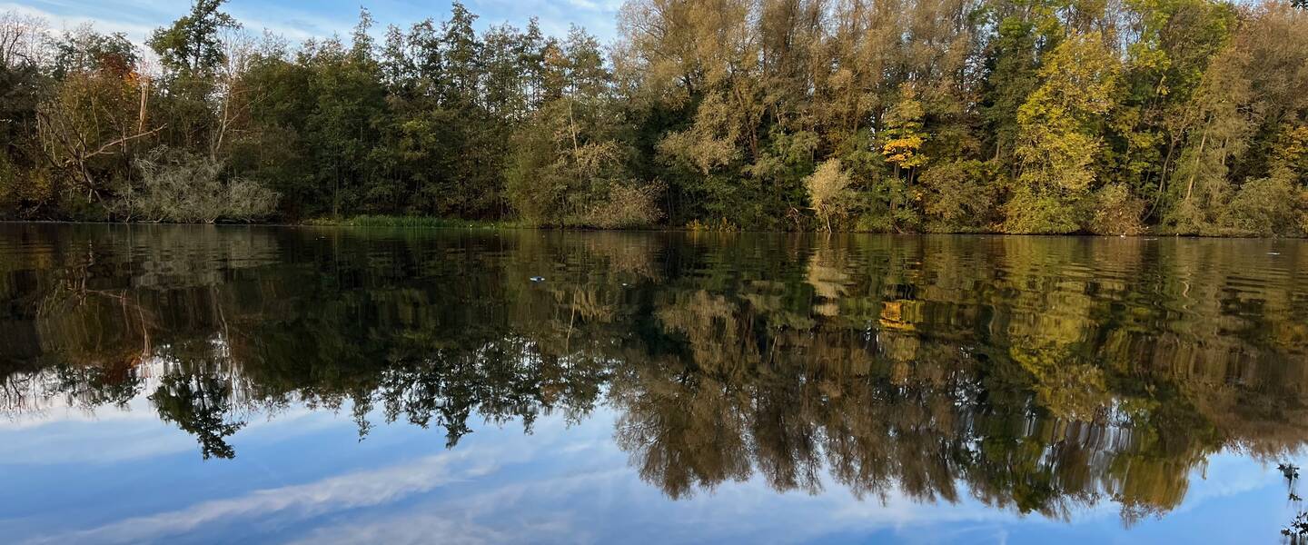Foto van bomen in herfstkleuren weerspiegeld in een meer