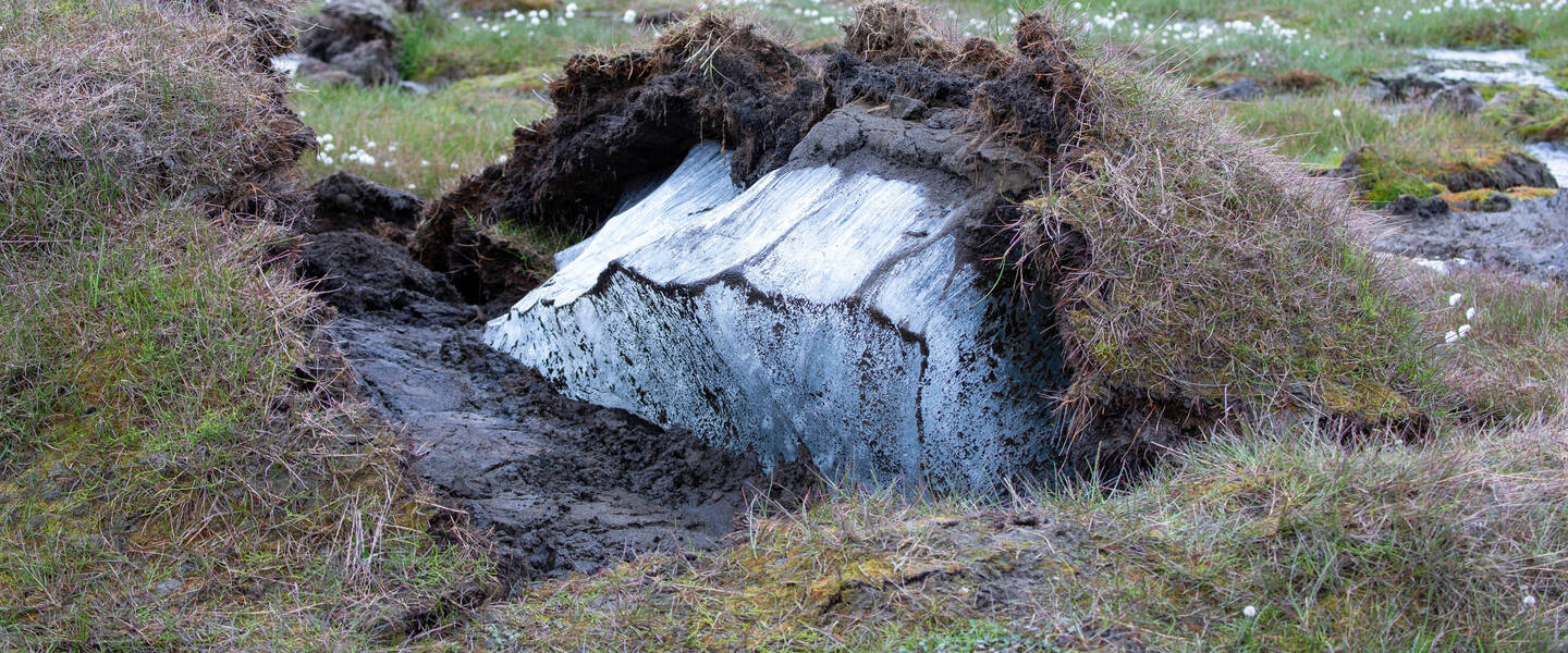 Permanent bevroren ondergrond begroeid met gras