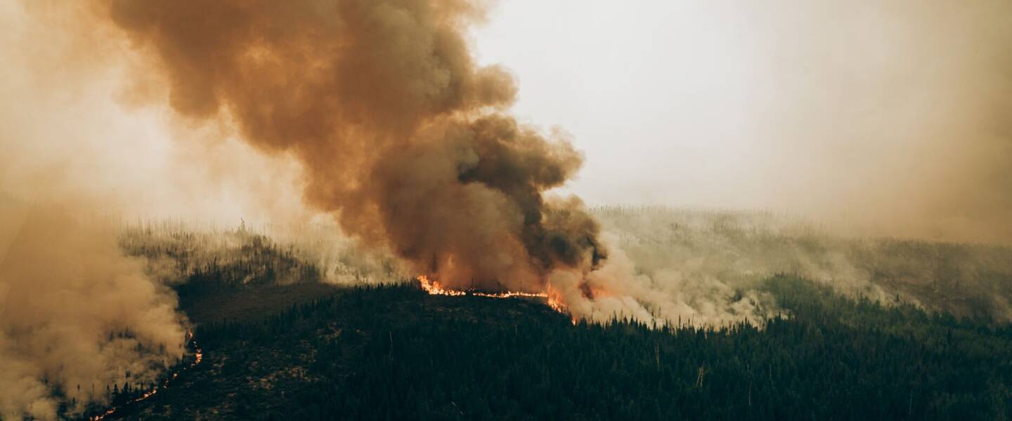 Foto van een bosbrand